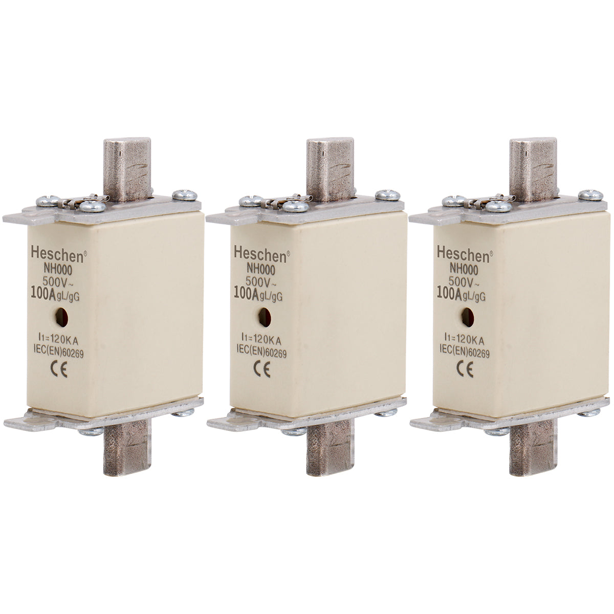 Cylindrical Type Fuse Link NH000-100A
